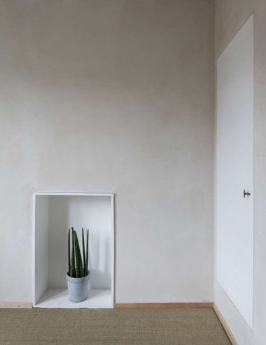 Plaster Mounting